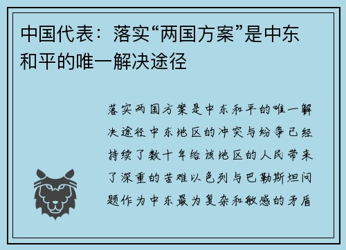 中国代表：落实“两国方案”是中东和平的唯一解决途径