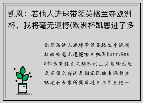 凯恩：若他人进球带领英格兰夺欧洲杯，我将毫无遗憾(欧洲杯凯恩进了多少个球)