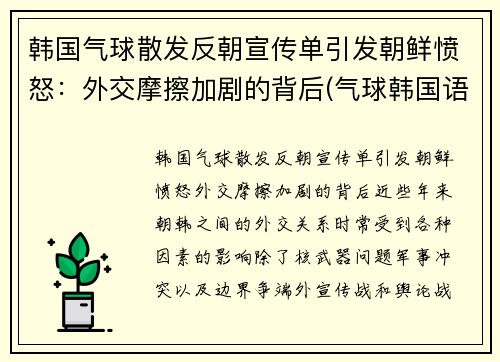 韩国气球散发反朝宣传单引发朝鲜愤怒：外交摩擦加剧的背后(气球韩国语)